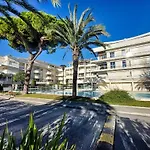 Ocean View Royal Palm
